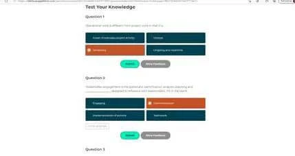 Interactive labs/quizzes